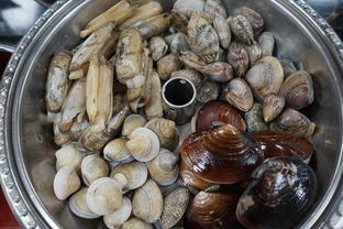 金山嘴漁村小海鮮,我首選這家 一擼根本停不下來