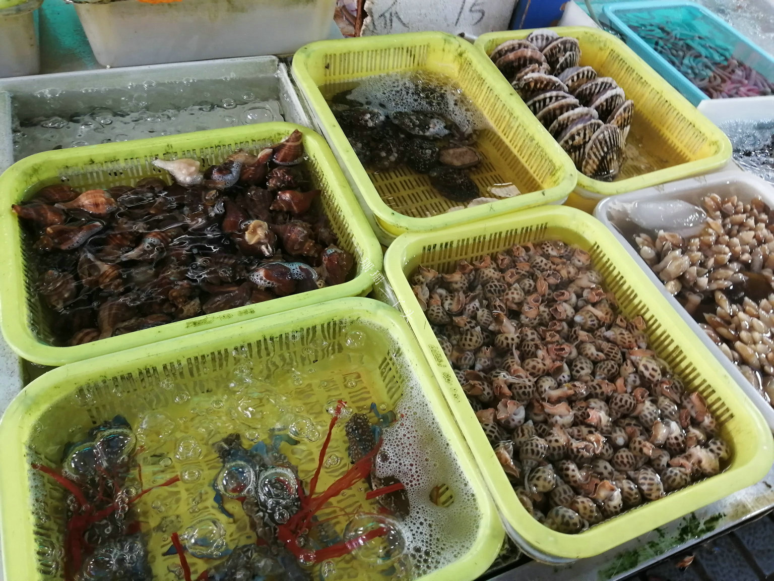 平靚正海鮮大量上市,專家解答:哪些水產品不宜吃?_黃沙