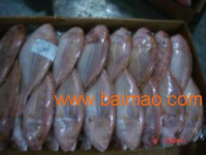 青島進口海鮮清關代理公司 生產廠家、價格與海鮮進口全解析