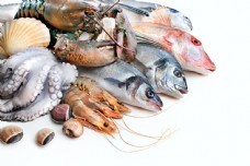 海鮮圖庫(kù)新寵 聚焦尤魚(yú)素材，一站式滿足你的設(shè)計(jì)與靈感需求